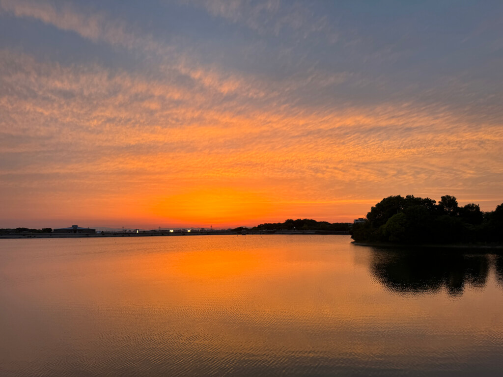 三好池の夕陽