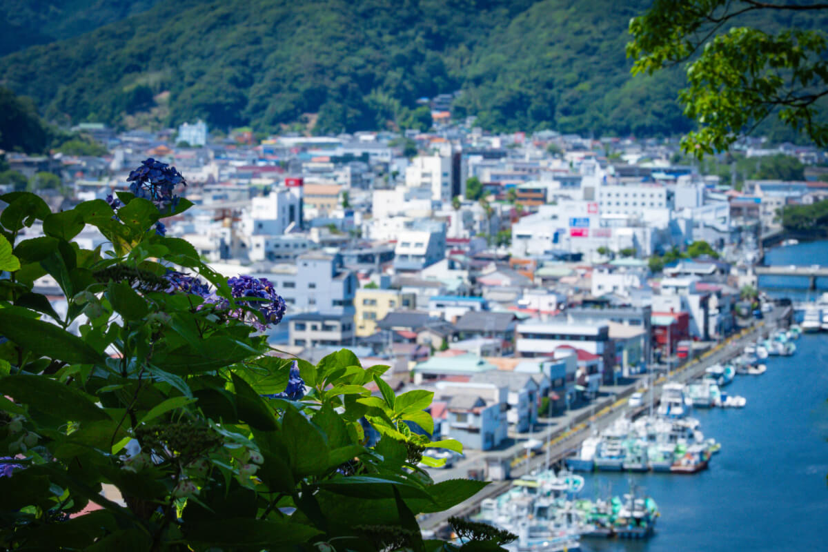 下田あじさい園と町並み写真撮影
