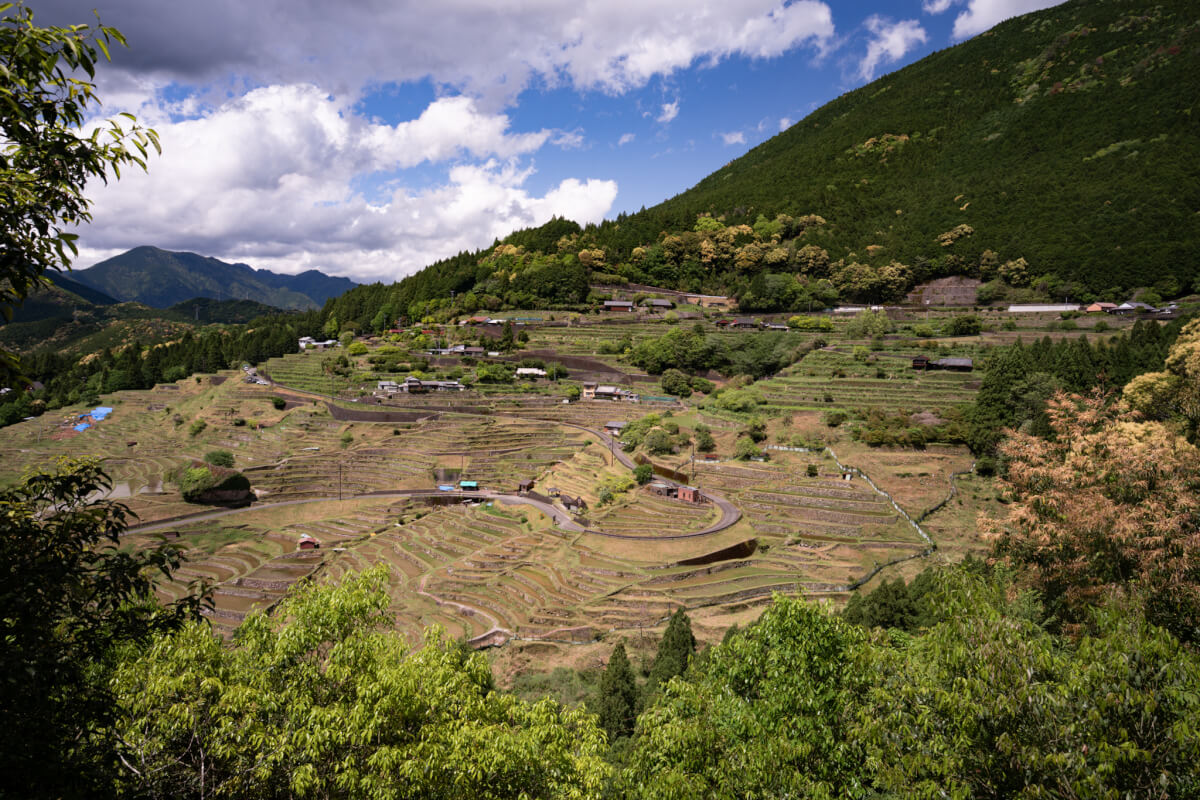 丸山千枚田写真撮影スポット