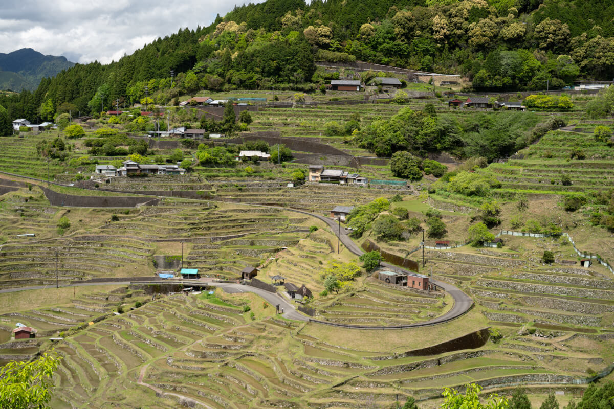 丸山千枚田写真撮影スポット