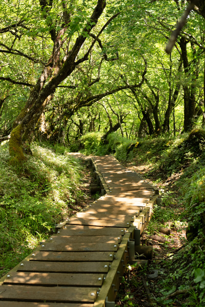 丹沢山塔ノ岳大倉ルート写真撮影スポット