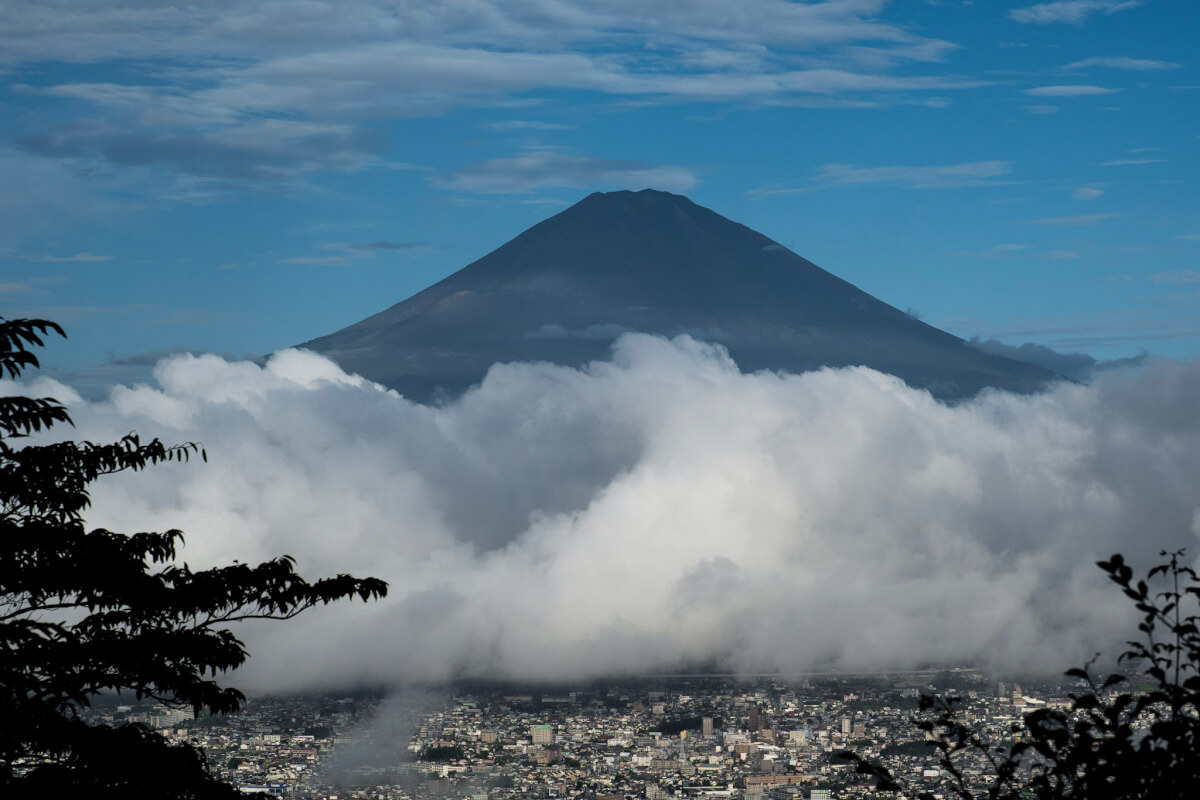 乙女の鐘と富士山