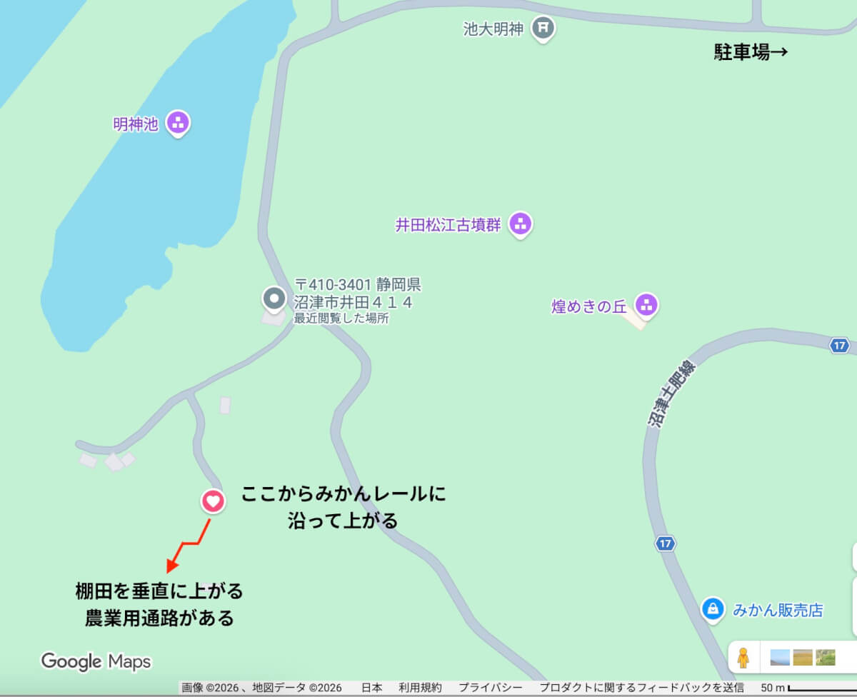 井田の河津桜の行き方