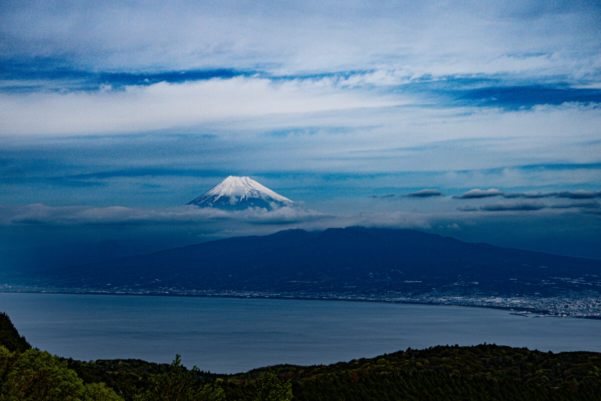 伊豆山稜線歩道トレッキング写真