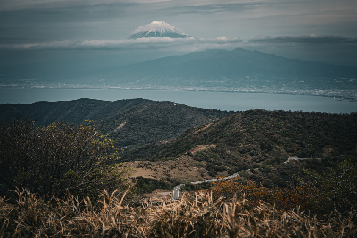 伊豆山稜線歩道トレッキング写真