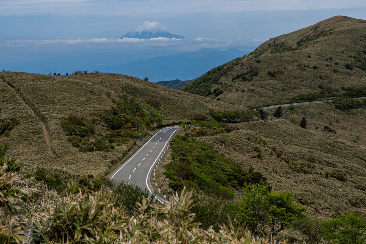伊豆山稜線歩道トレッキング写真