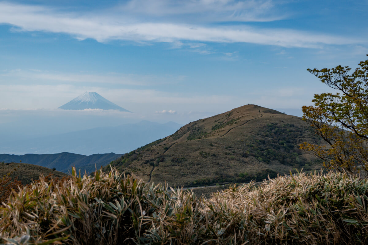 伊豆山稜線歩道トレッキング写真