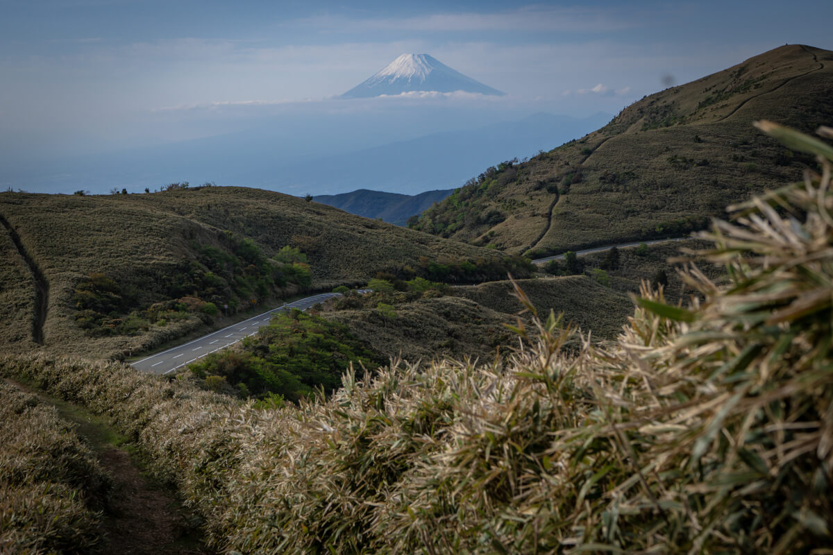 伊豆山稜線歩道トレッキング写真