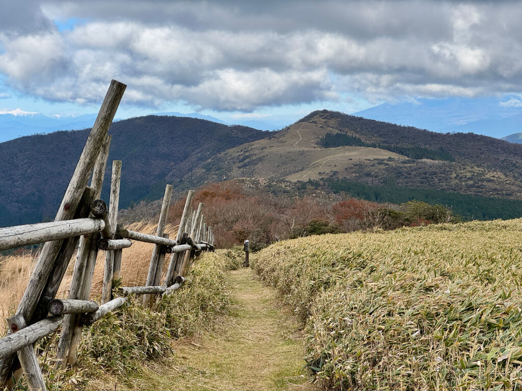 伊豆山稜線歩道トレラン写真