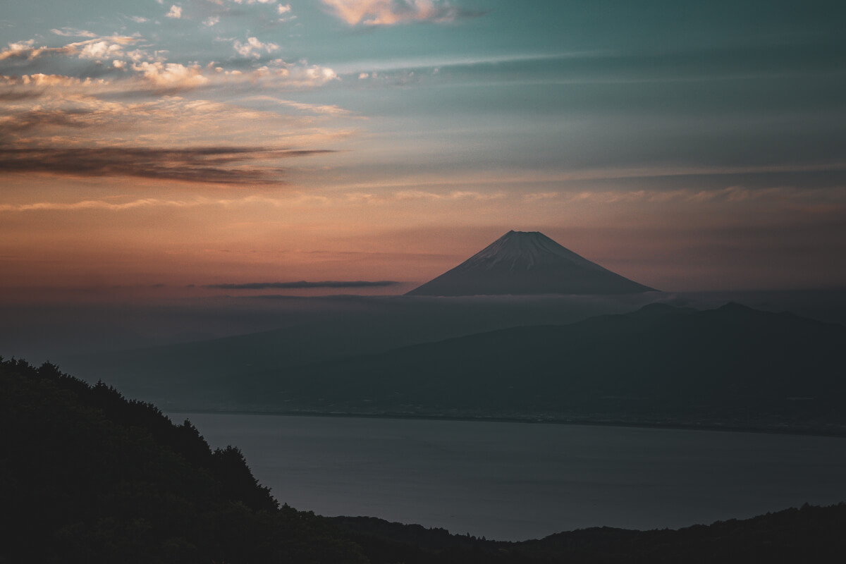 伊豆山稜線歩道トレッキング写真