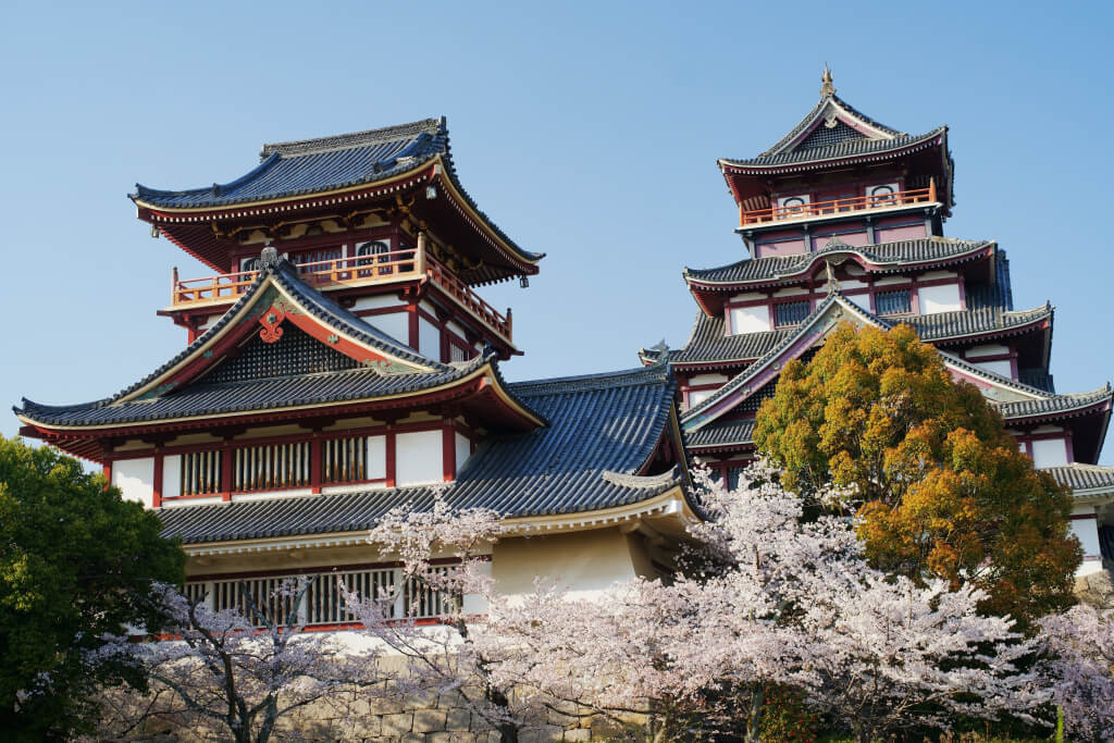 伏見桃山城の桜写真