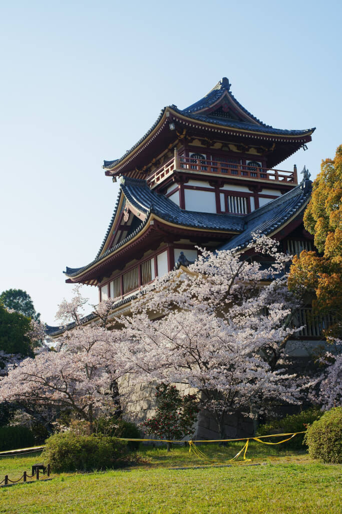 伏見桃山城の桜写真