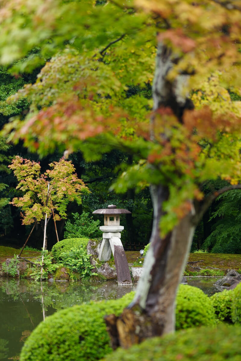 兼六園徽軫灯籠霞ヶ池写真