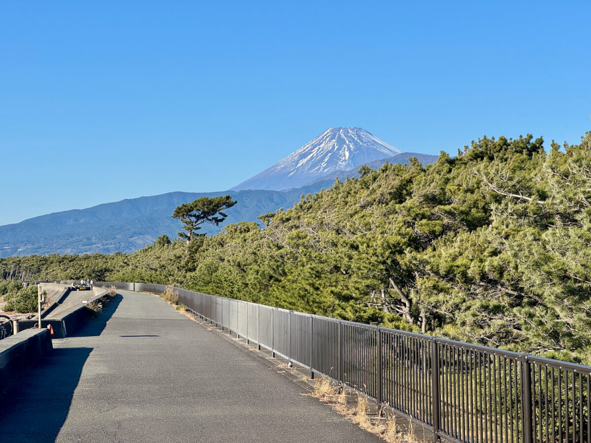千本浜富士海岸ランニング10km