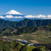 吉原の富士山と茶畑写真撮影静岡市清水区