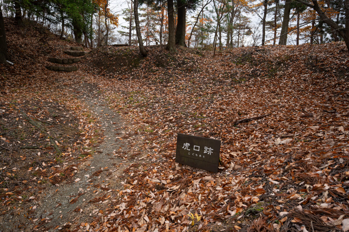 向羽黒山城跡写真撮影スポット