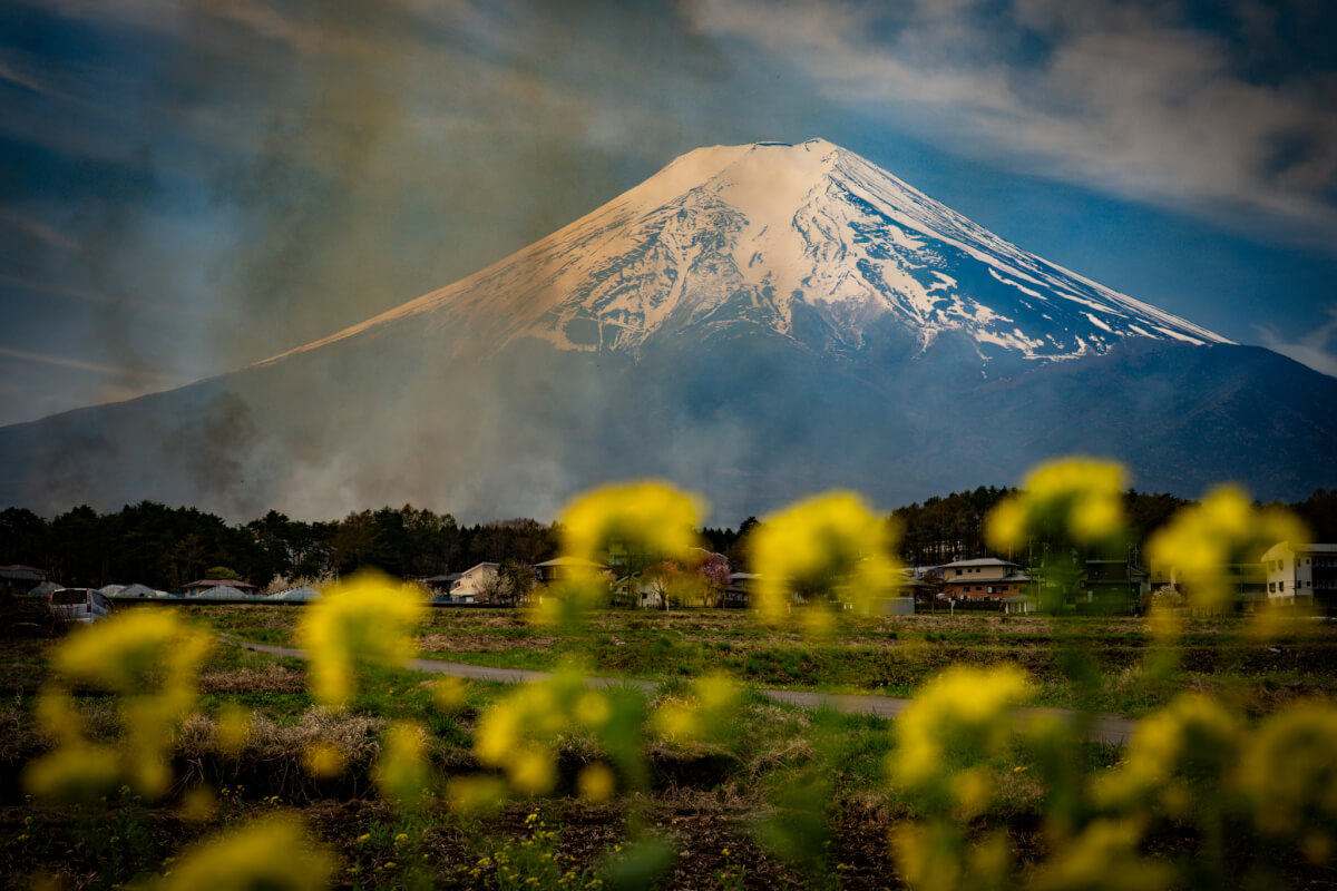 城山東農村公園富士山写真