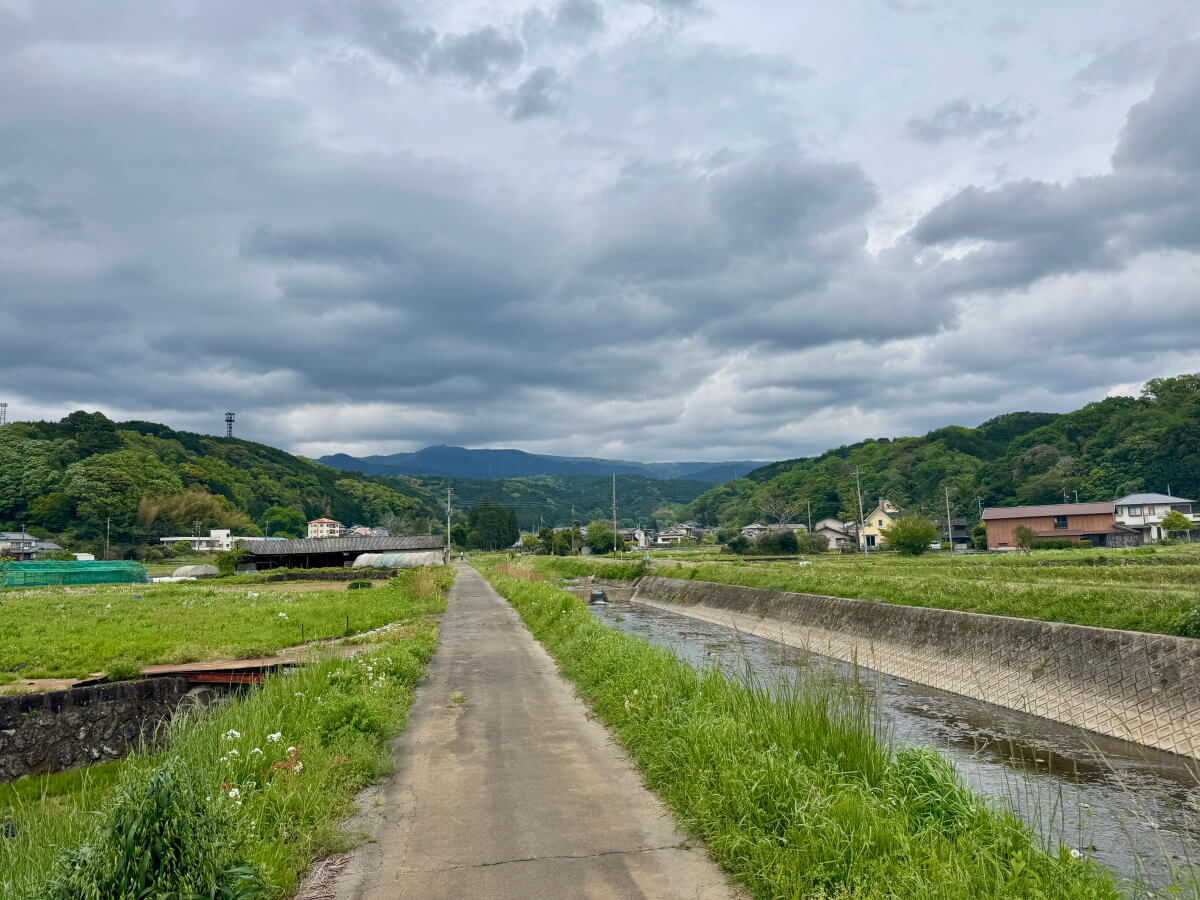 大場川ランニング