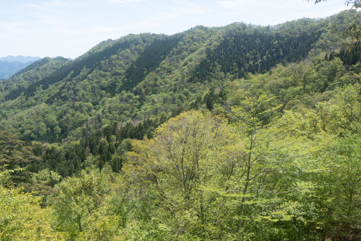 大峯奥駈道深仙小屋行仙宿写真