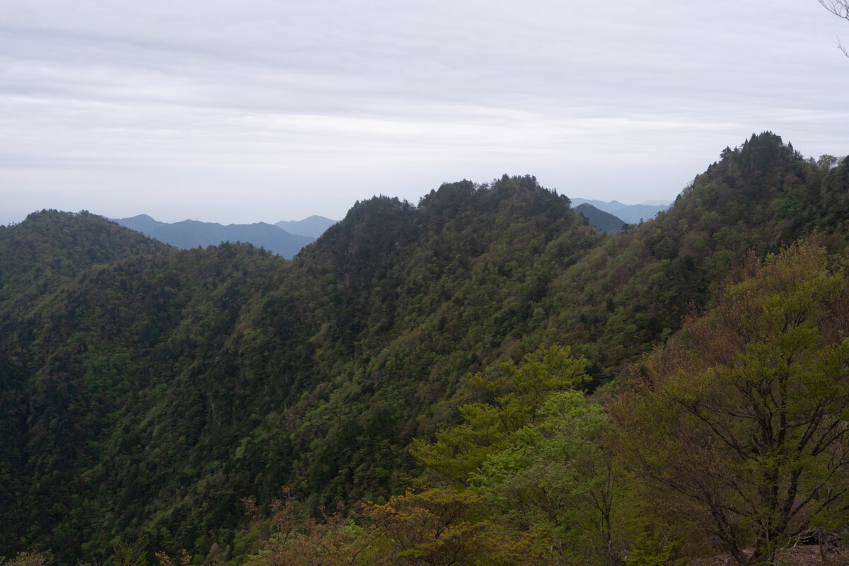 大峯奥駈道行仙宿熊野本宮大社写真