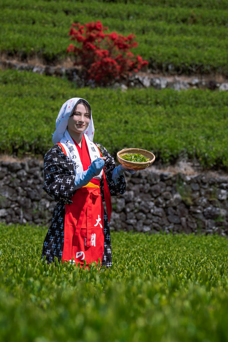 大淵笹場お茶まつり茶娘