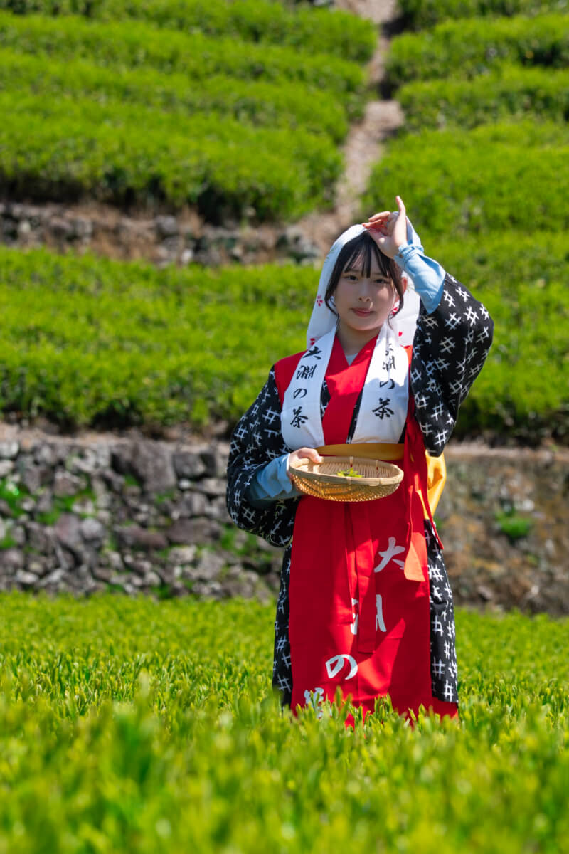 大淵笹場お茶まつり茶娘