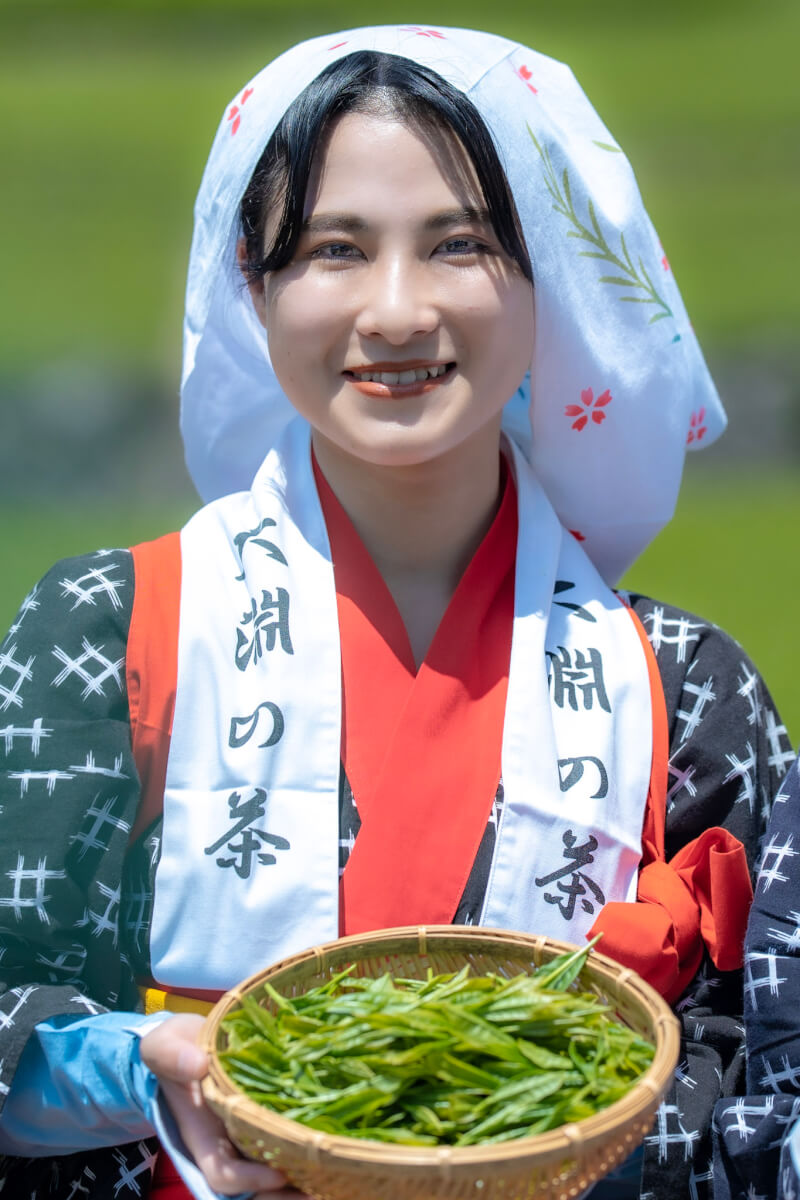 大淵笹場の茶娘写真