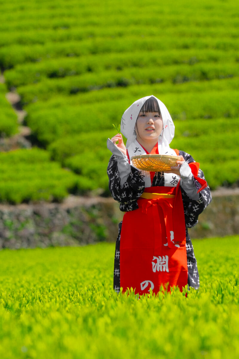 大淵笹場茶娘画像