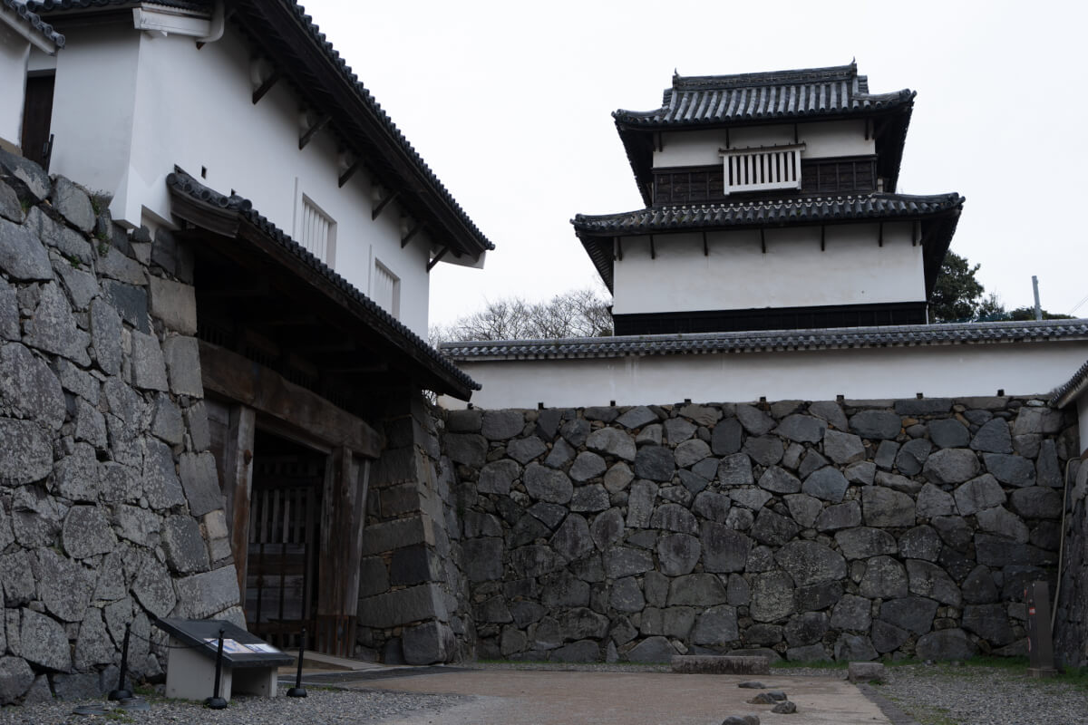 大濠公園と福岡城写真撮影スポット