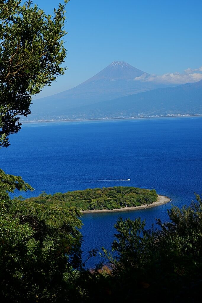 大瀬崎と富士山の写真