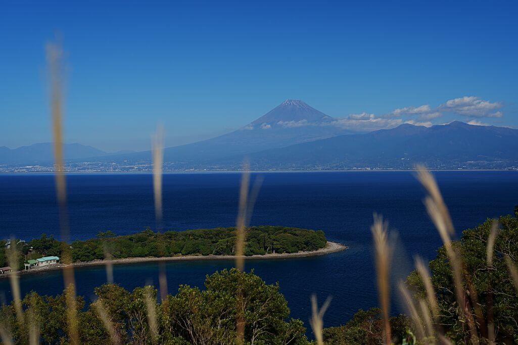 大瀬崎と富士山の写真