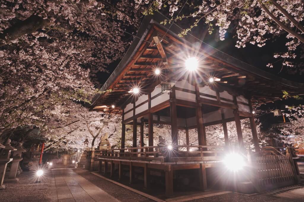 天孫神社夜桜