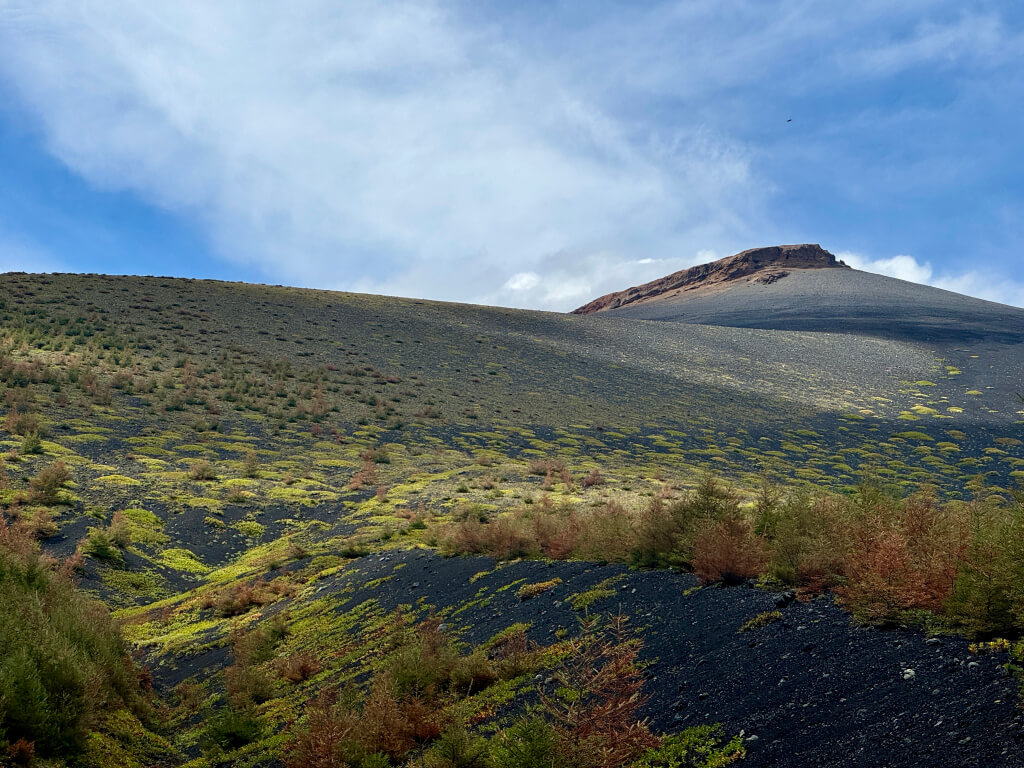 富士山五合目トレイルランニング