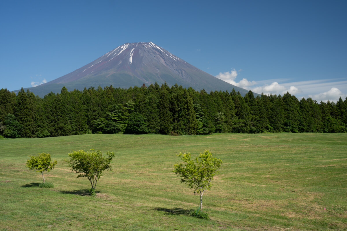 富士山展望台朝霧高原道の駅、写真撮影スポット