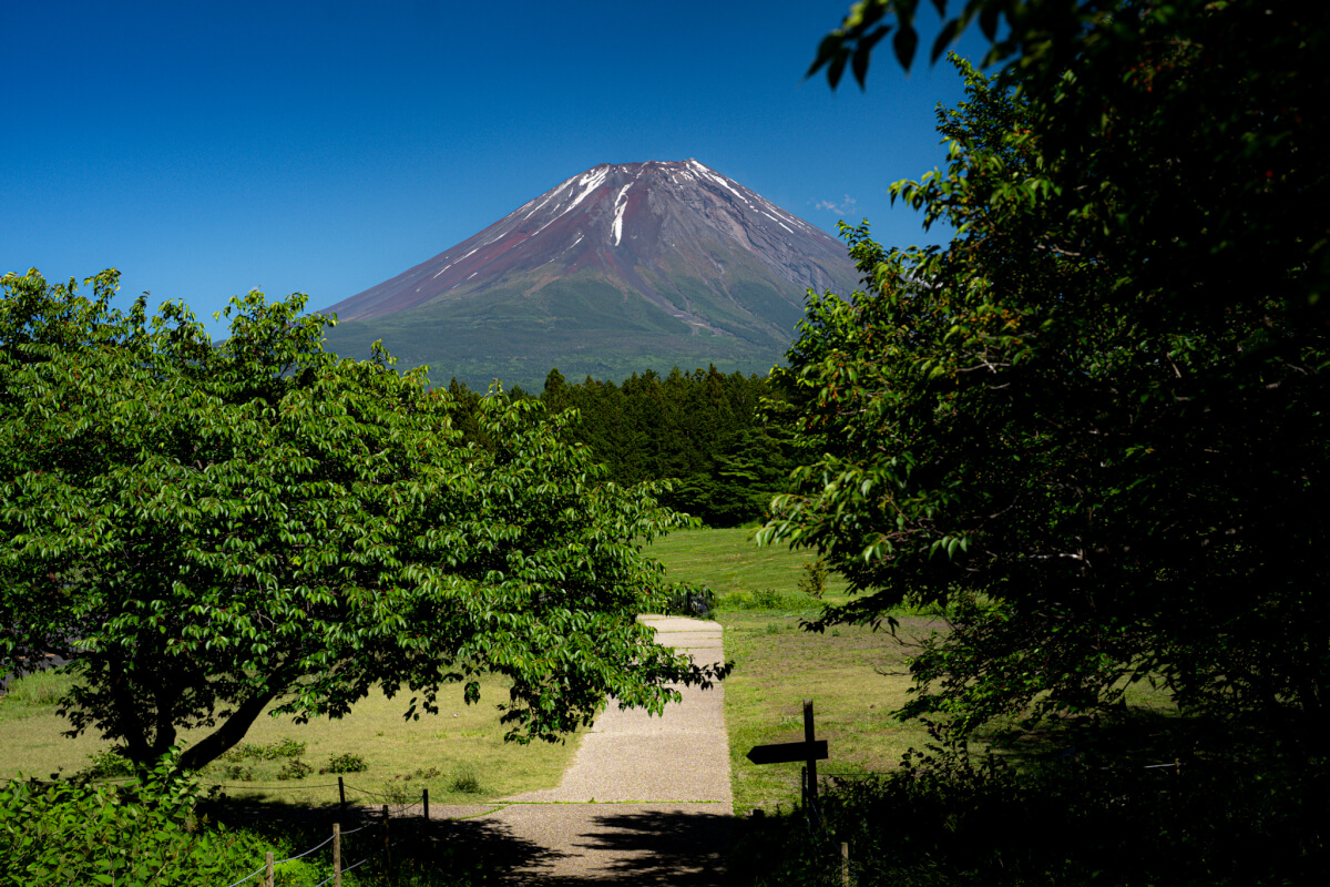 富士山展望台朝霧高原道の駅、写真撮影スポット