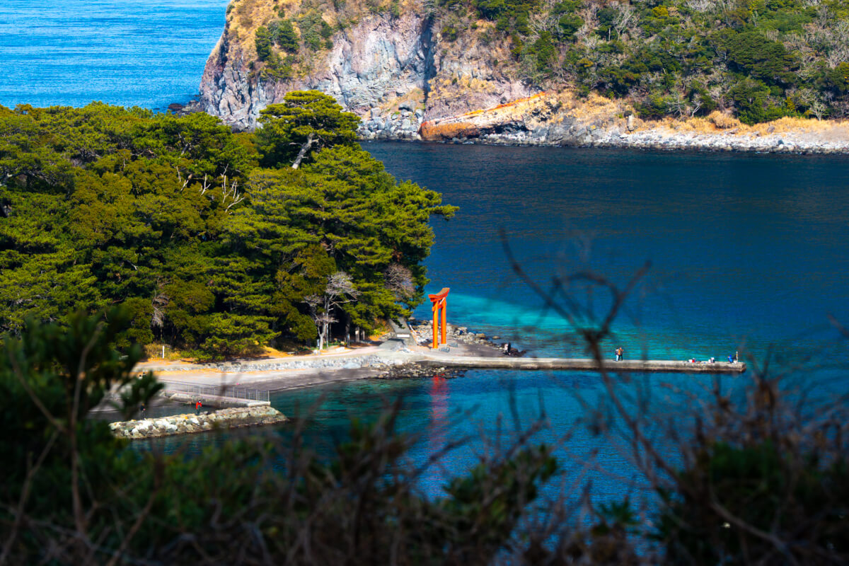 戸田健康の森展望地