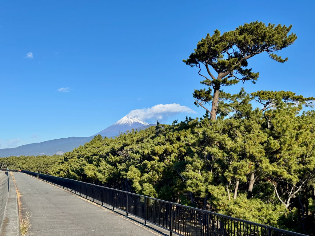 富士海岸千本浜ランニング