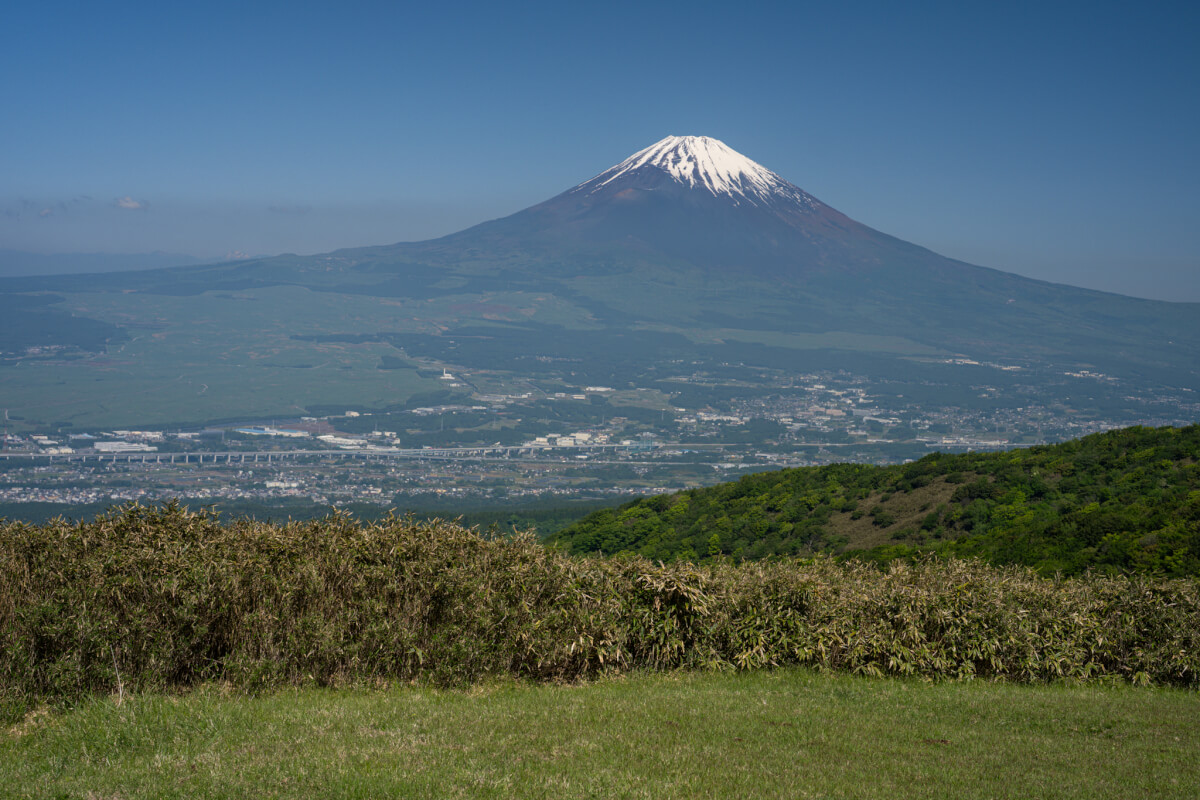 富士見ヶ丘公園写真撮影スポット