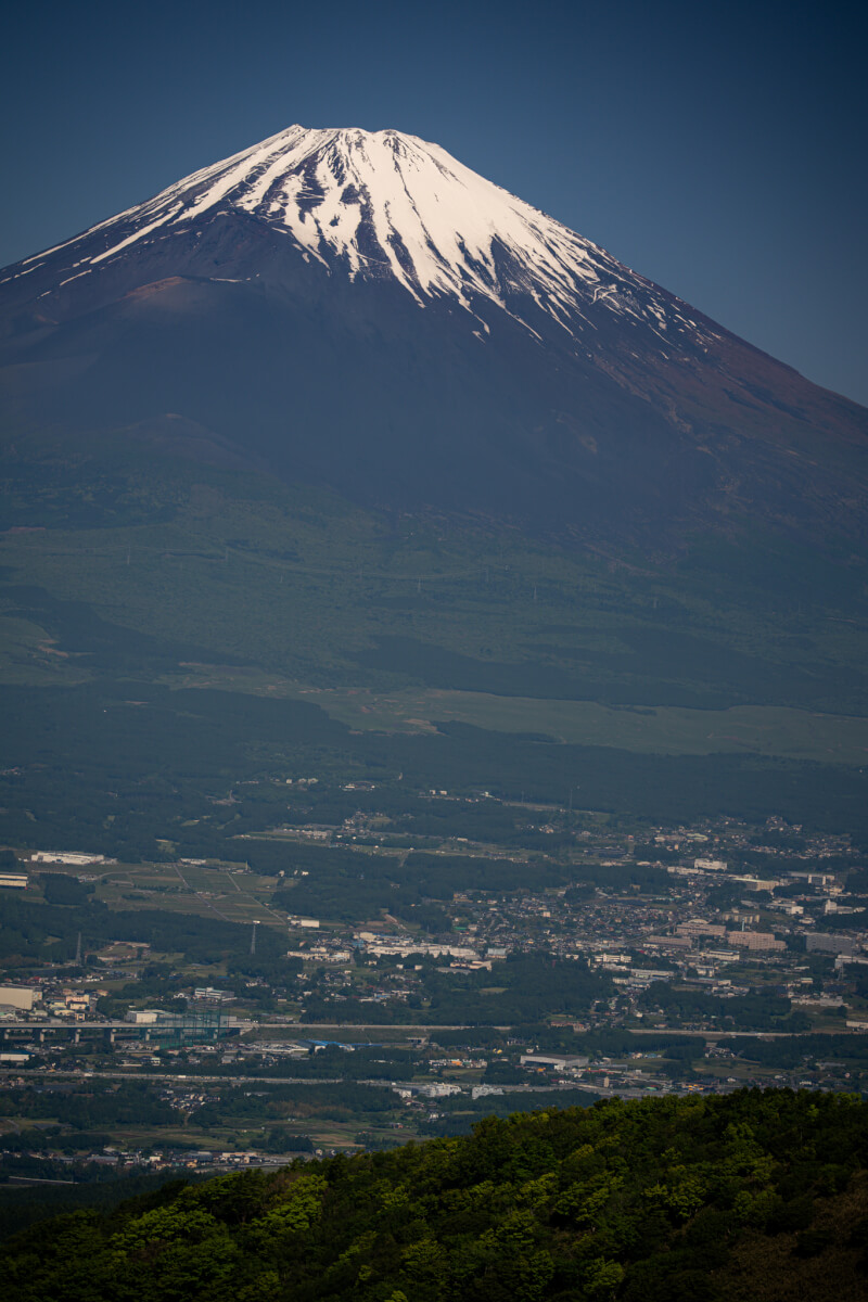 富士見ヶ丘公園写真撮影スポット