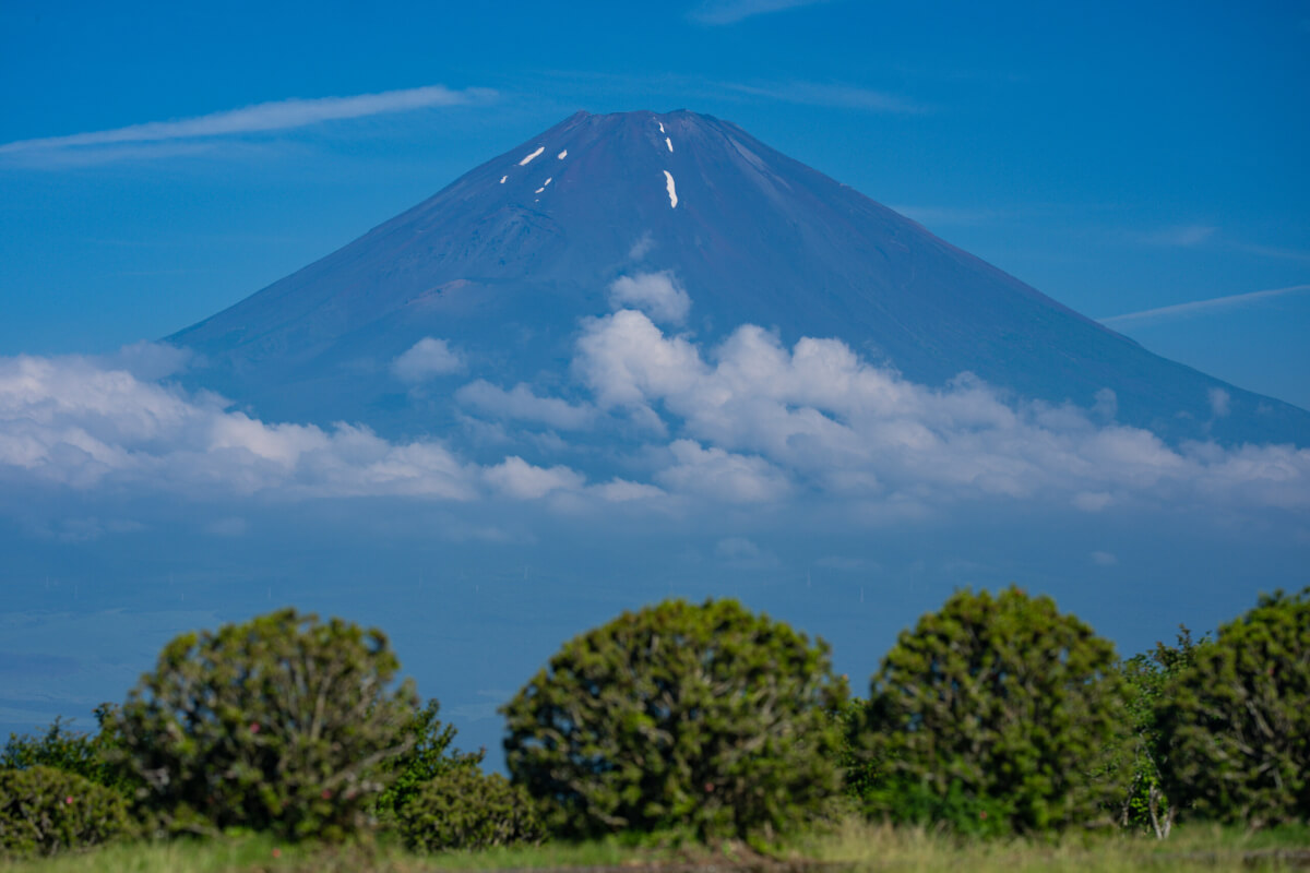 富士見ヶ丘公園箱根スカイライン富士山写真撮影場所