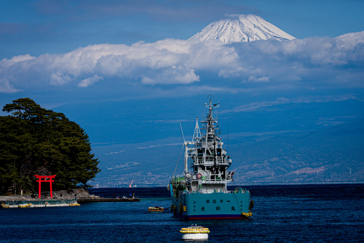 富士見海岸通り富士山ビュースポット