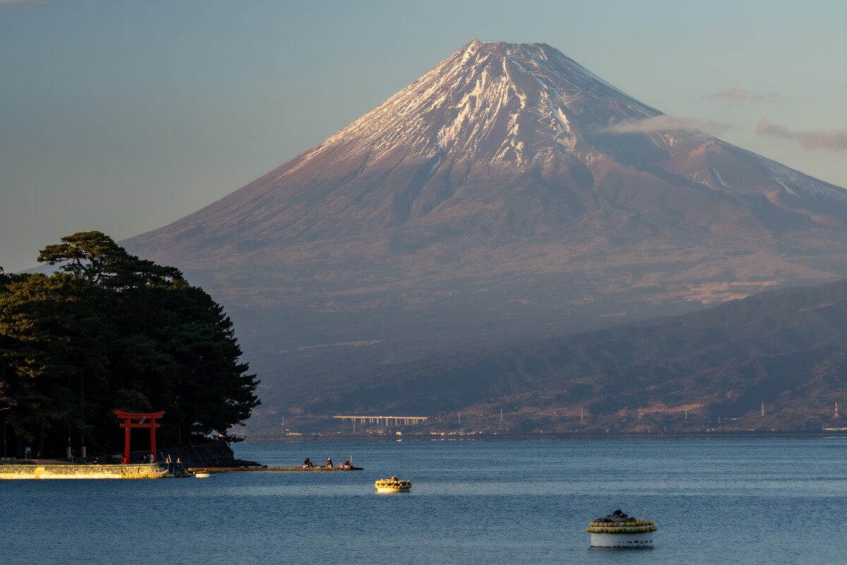 富士見海岸通り富士山ビュースポット