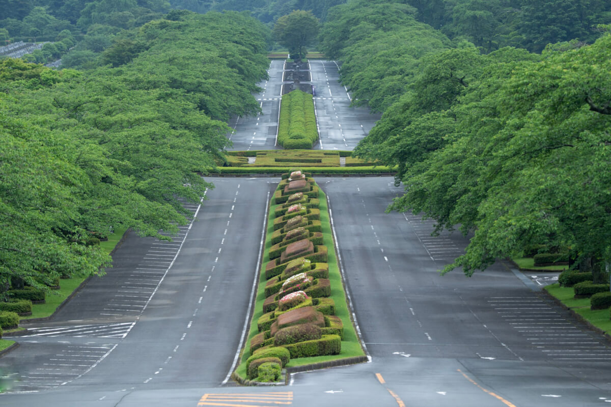 富士霊園展望台の新緑写真