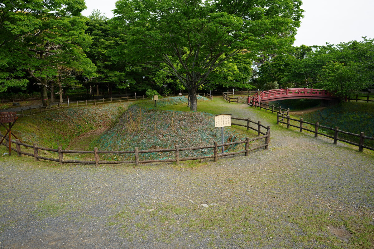 小山城遠江国写真