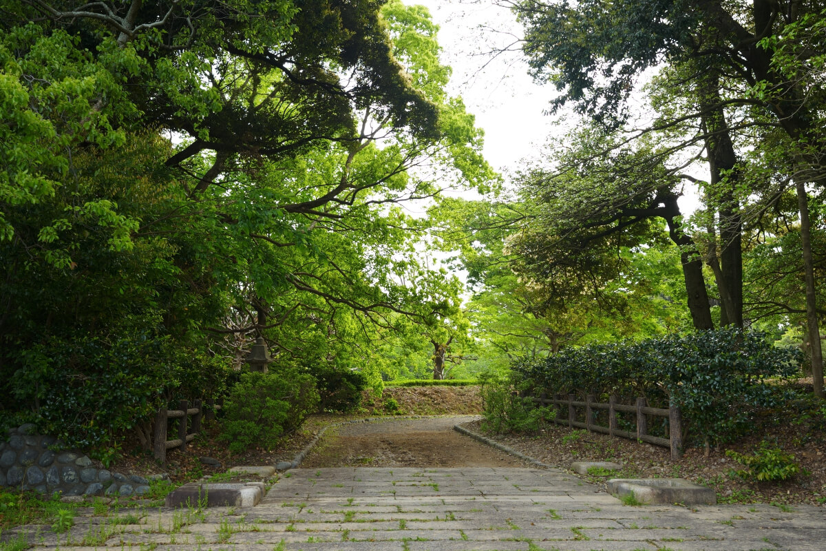 小山城遠江国写真