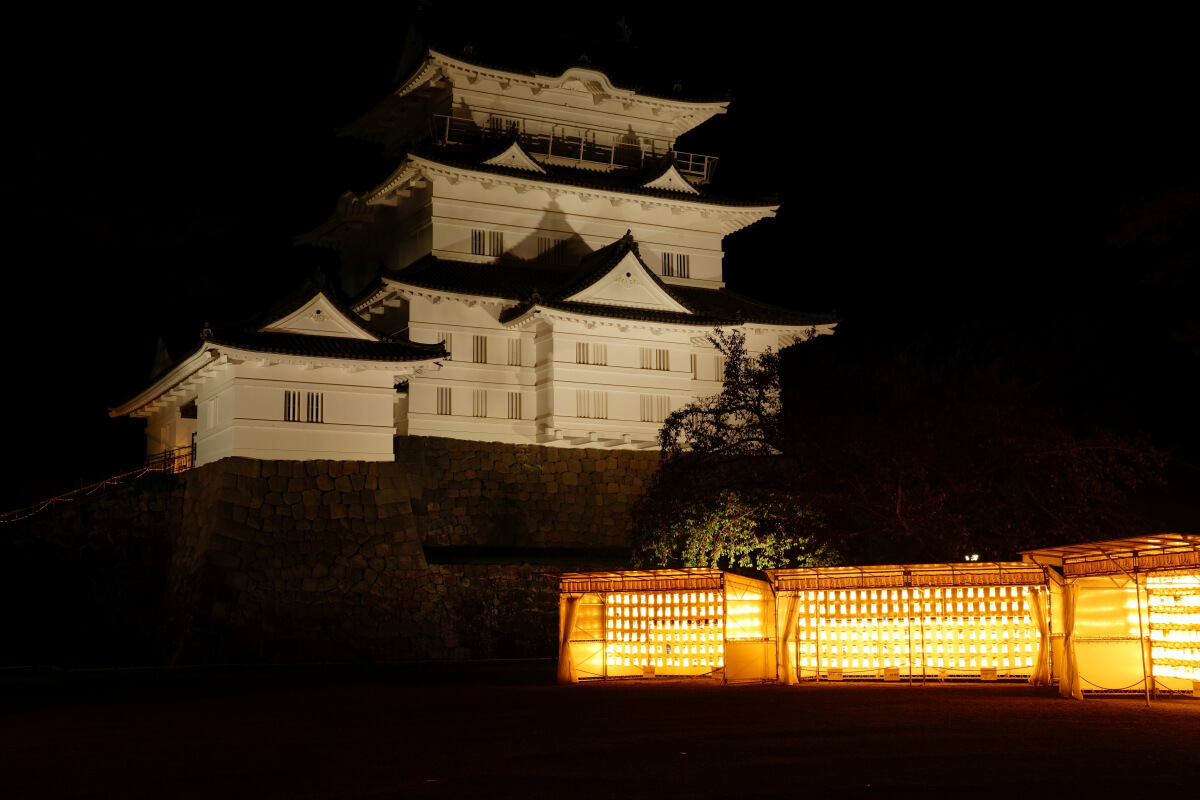 小田原城夜景写真撮影