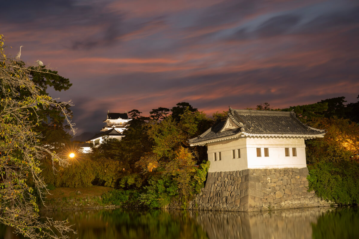 小田原城夜景写真撮影