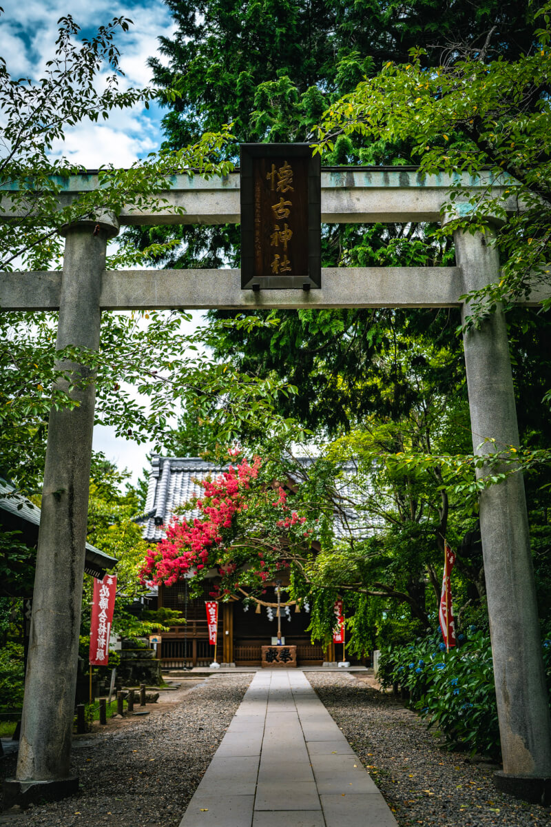 小諸城址懐古園写真
