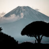 山中城の富士山写真