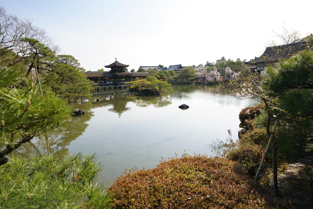平安神宮神苑の桜写真